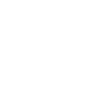 Gift packaging Icon